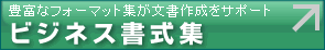 �ӥ��ͥ��񼰽�