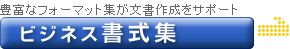 �ӥ��ͥ��񼰽�