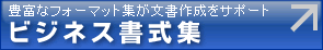 �ӥ��ͥ��񼰽�