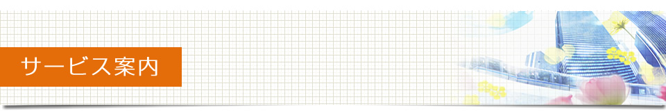 �T�[�r�X�ē�