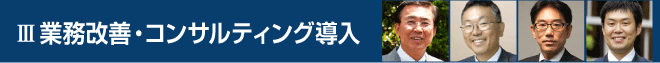 業務改善・コンサルティング導入