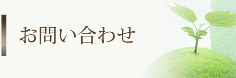 䤤碌