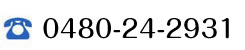 0480-24-2931