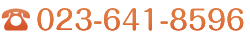 023-641-8596