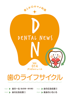 歯のライフサイクル